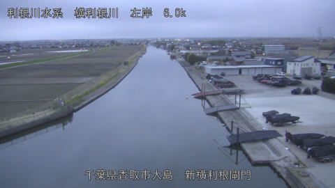 yoko2026031906_image