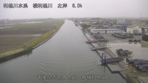 yoko2026031907_image