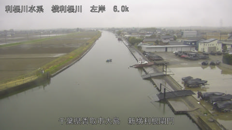 yoko2026031908_image