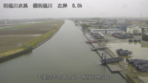 yoko2026031909_image