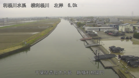 yoko2026031910_image