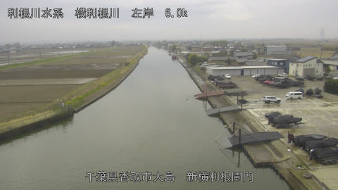 yoko2026031911_image