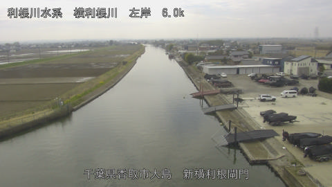 yoko2026031912_image