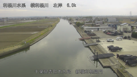 yoko2026031913_image