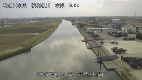 yoko2026031914_image