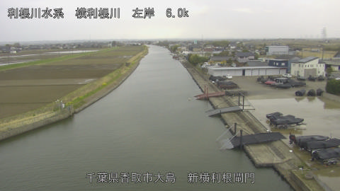 yoko2026031916_image