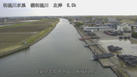 yoko2026031917_image