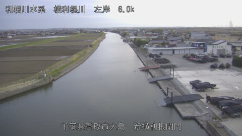 yoko2026031918_image