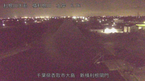 yoko2026031920_image