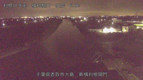 yoko2026031922_image