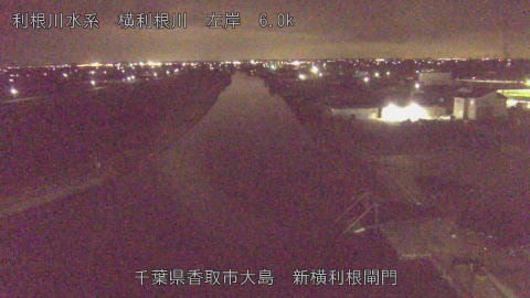 yoko2026031923_image