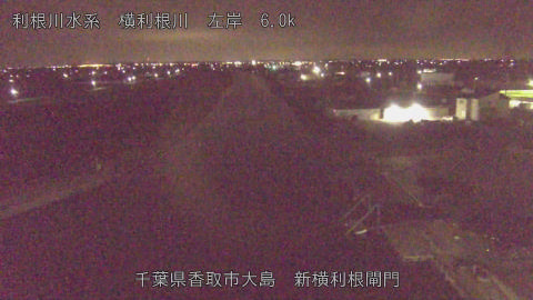 yoko2026032001_image