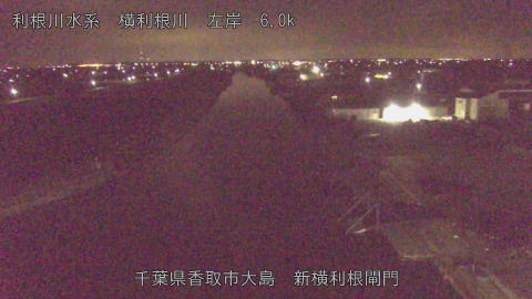 yoko2026032003_image