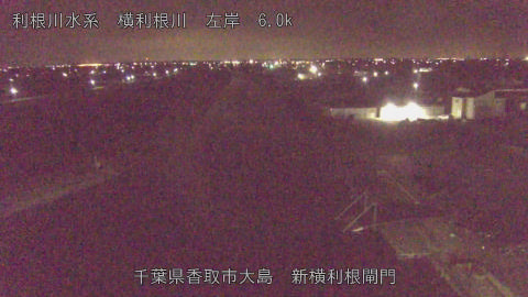 yoko2026032004_image