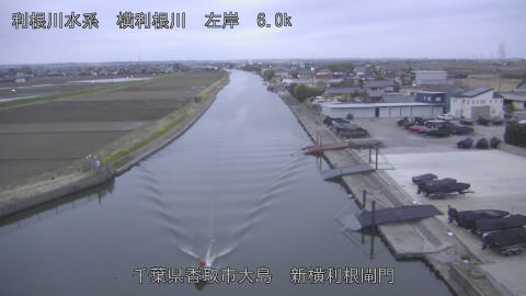 yoko2026032006_image