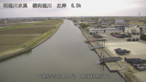 yoko2026032007_image