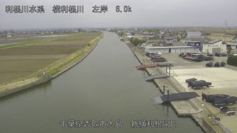 yoko2026032009_image