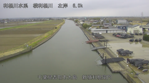 yoko2026032010_image