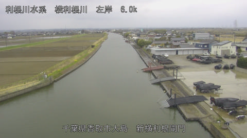 yoko2026032011_image