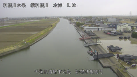 yoko2026032012_image