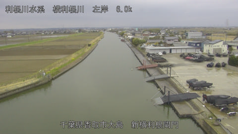 yoko2026032013_image