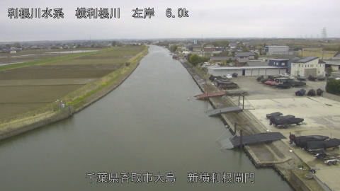 yoko2026032014_image