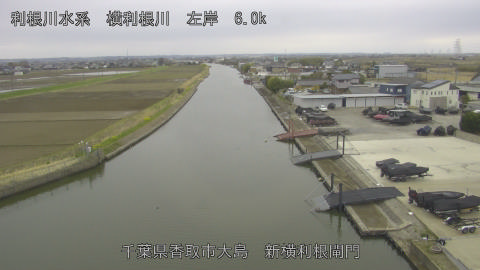 yoko2026032015_image