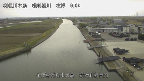 yoko2026032016_image