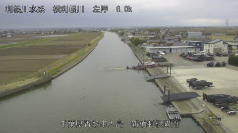 yoko2026032017_image