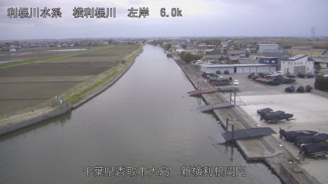 yoko2026032018_image