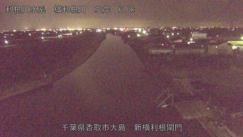 yoko2026032019_image