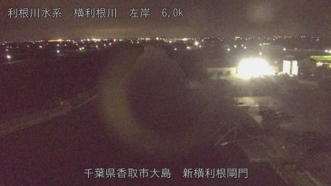 yoko2026032022_image