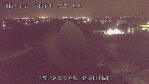 yoko2026032100_image