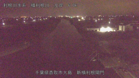 yoko2026032102_image