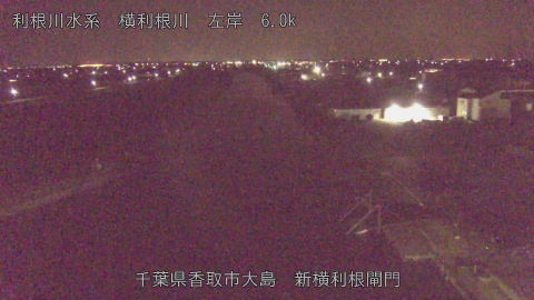 yoko2026032104_image