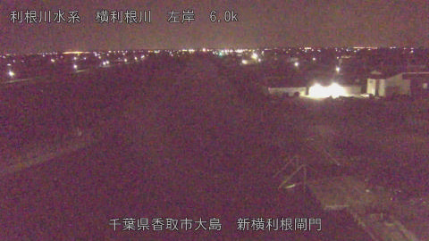 yoko2026032105_image