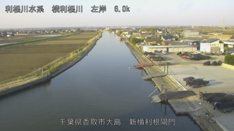 yoko2026032107_image