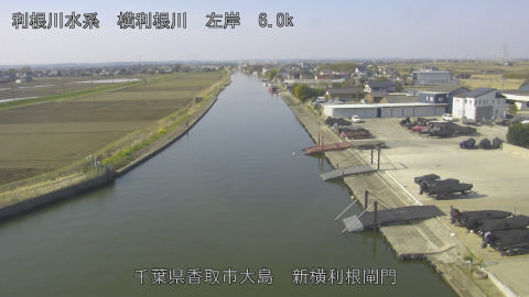 yoko2026032109_image