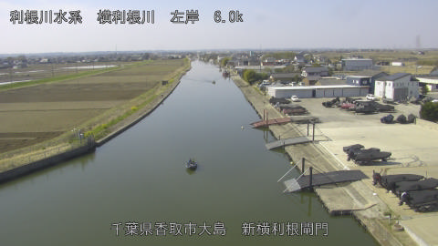 yoko2026032110_image