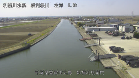 yoko2026032111_image