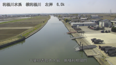 yoko2026032112_image