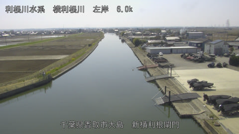 yoko2026032113_image