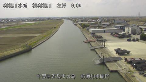 yoko2026032212_image