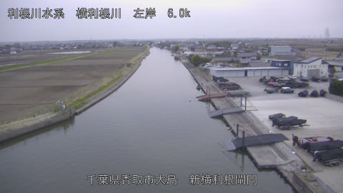 yoko2026032218_image