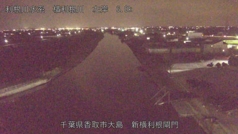 yoko2026032219_image