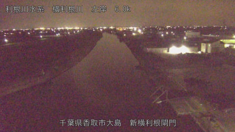 yoko2026032220_image