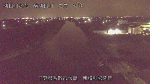 yoko2026032222_image