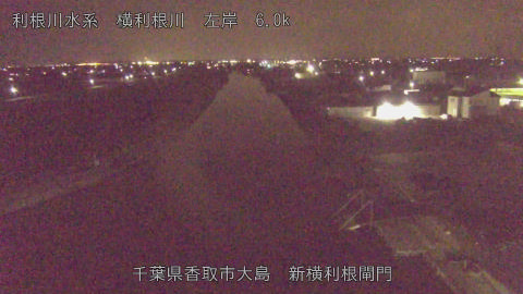 yoko2026032300_image