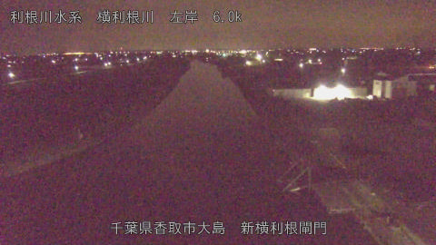 yoko2026032302_image