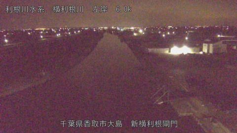 yoko2026032303_image